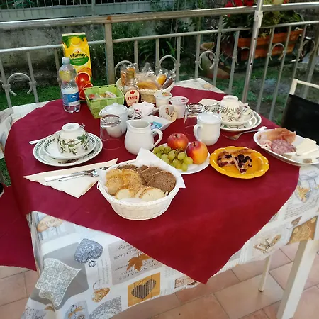 Sally's كارارا