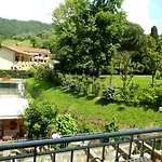 Sally's Carrara