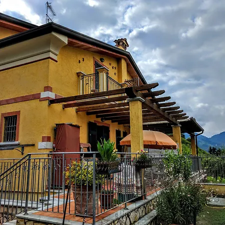 Sally's Carrara
