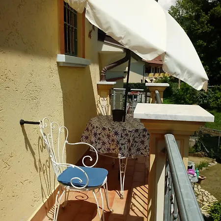 Sally's Carrara