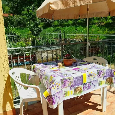 לינה וארוחת בוקר Sally's